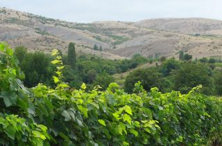 Makedonien: rote Weine aus dem Norden Griechenlands